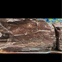 鑑賞石　骨董　石の画像