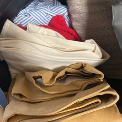 レディース服の画像