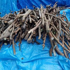 世田谷区近辺配送可能　　薪　伐採枝木　伐採丸太　木材の画像