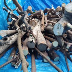 世田谷区近辺配送可能　　薪　伐採枝木　伐採丸太　木材の画像