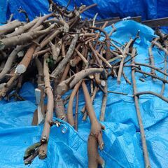 世田谷区近辺配送可能　　薪　伐採枝木　伐採丸太　木材の画像