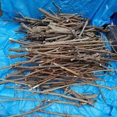 世田谷区近辺配送可能　　薪　伐採枝木　伐採丸太　木材の画像