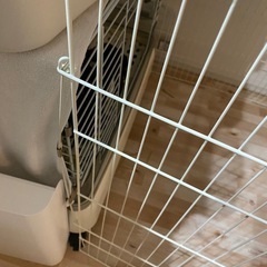 GEX ラビットサークルワイド　小動物用の画像