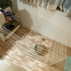 GEX ラビットサークルワイド　小動物用の画像