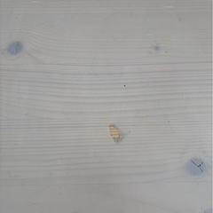 光製作所 勉強机の画像