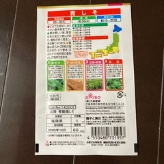 種子　その他5品の画像