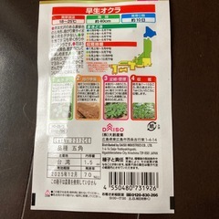 種子　その他5品の画像