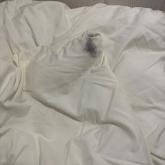 掛け布団　シングル　２枚セット
の画像