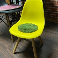 イームズチェア キッズ リプロダクトの画像