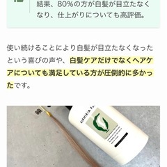 🉐試しに使って見たい方🉐リシリアフレルの画像