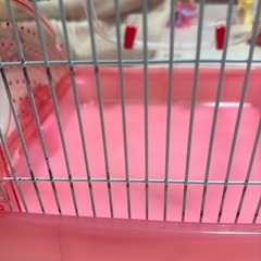 ハムスターゲージの画像