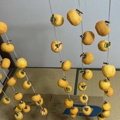 渋柿を譲ってください（干し柿用）