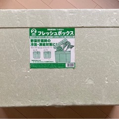 野菜をいい感じに保存する箱の画像