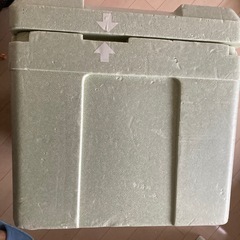 野菜をいい感じに保存する箱の画像