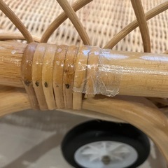 ラタンのゆりかご
の画像