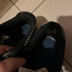 le coq sportifのスニーカー
の画像