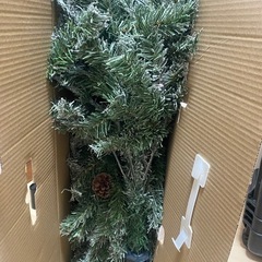 クリスマスツリーの画像