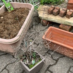 レンガ 植木鉢 プランターなどの画像