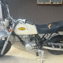 エイプ50の画像