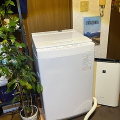 【AW-8D9】2021年製 TOSHIBA 洗濯機 8kg ZABOONの画像
