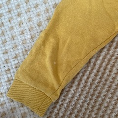 トレーナーの画像