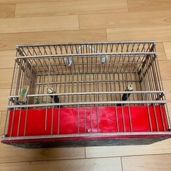 鳥かご
の画像