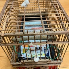 鳥かご
の画像