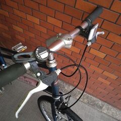 自転車店から出品です。　　7年使用のビアンキの画像