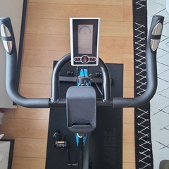 スピンバイク フィットネスバイク ハイガー(HAIGE) HG-YX-5006S ブルーの画像