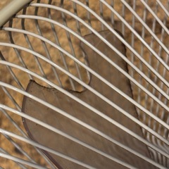 壁掛け式扇風機 の画像