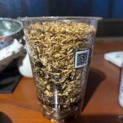 カブトムシようちゅ幼虫の画像