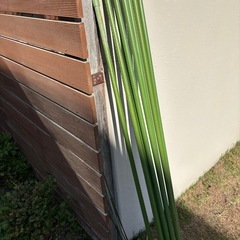 ガーデニング 支柱の画像