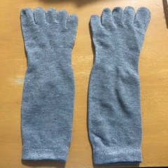 五本指ソックスの画像