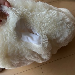 肉球　クッションの画像