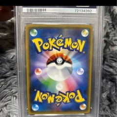 ルザミーネ　の画像