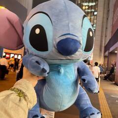 同じ愛好家に安く譲りますの画像