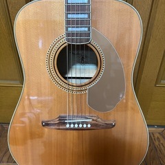 Fender Elvis Presley Kingman ケース付きの画像