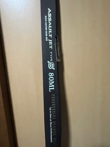 ゼスタ　アサルトジェットタイプS 80mlML