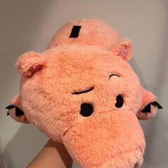 欲しい方が送料を負担して、私に連絡ください。の画像