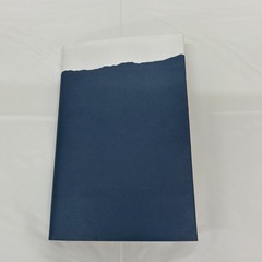 【取りに来て下さる方】金のカメレオン座 五星三心占い 2026の画像