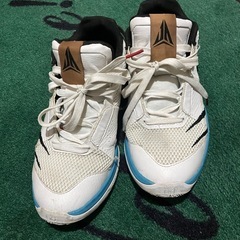 Nike air zoom 26cmの画像