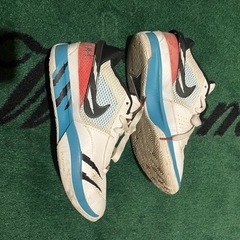 Nike air zoom 26cmの画像