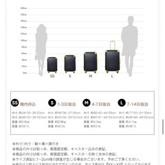 未使用スーツケース　ライトグレー（Lサイズ）の画像