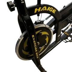 ハイガー　HAIGE スピンバイク　HG-YX-5006の画像
