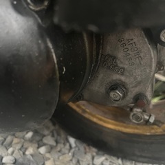 diozx 今月中の画像