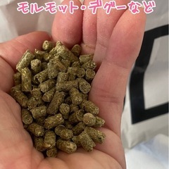 モルモットフード　500g→500円の画像
