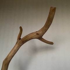 天然木チークポールハンガーの画像