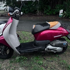 トゥデイ AF67 後期①の画像