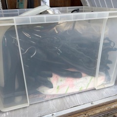 ハンガ　たいり大量の画像