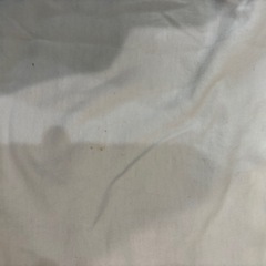 adidas ホワイト Tシャツ Sサイズの画像